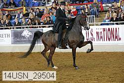 14usn_29504 proof