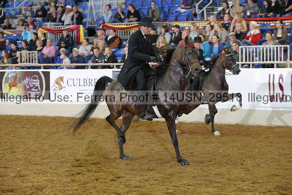 Proof 14usn_29518