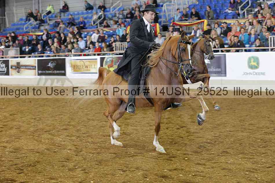 Proof 14usn_29525