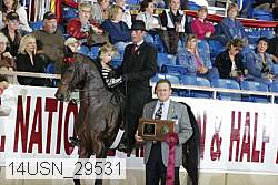 14usn_29531 proof