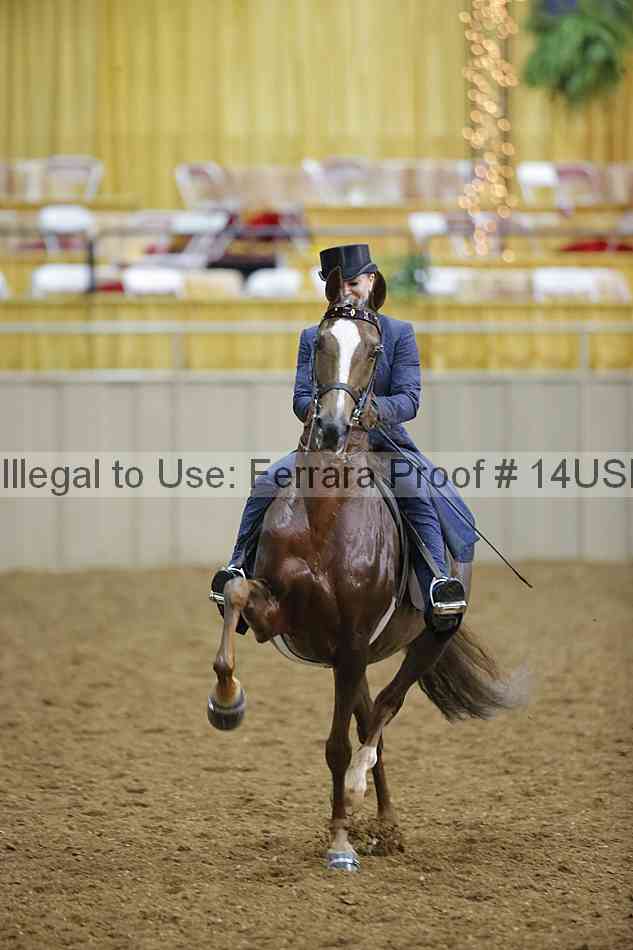 Proof 14usn_29558