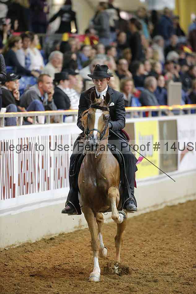 Proof 14usn_29563