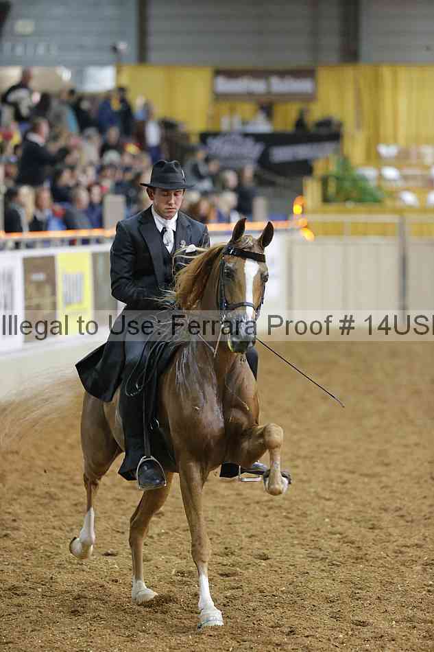 Proof 14usn_29565