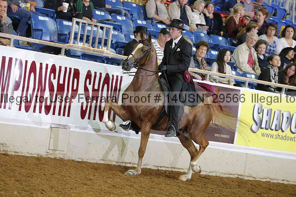Proof 14usn_29566