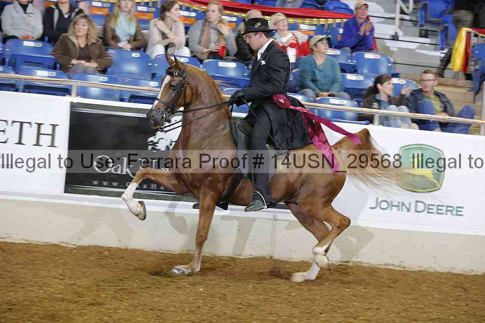 Proof 14usn_29568