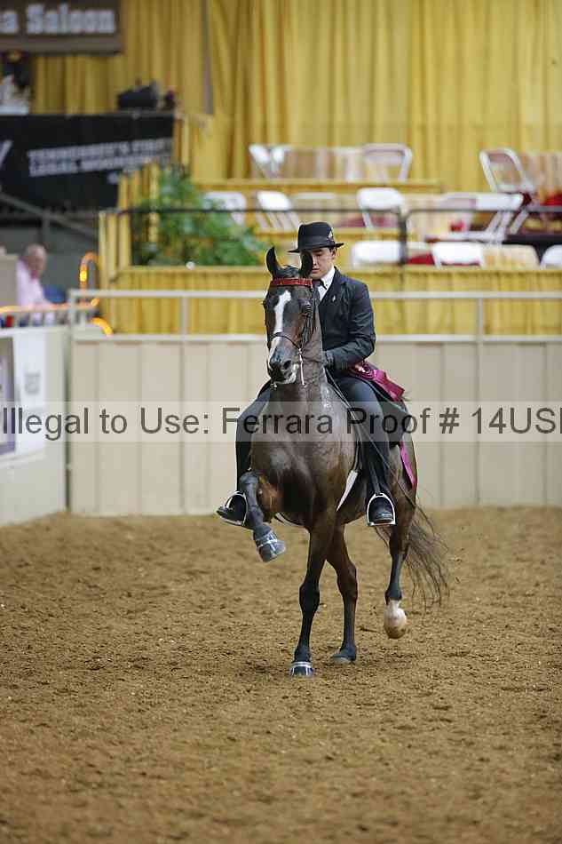 Proof 14usn_29595