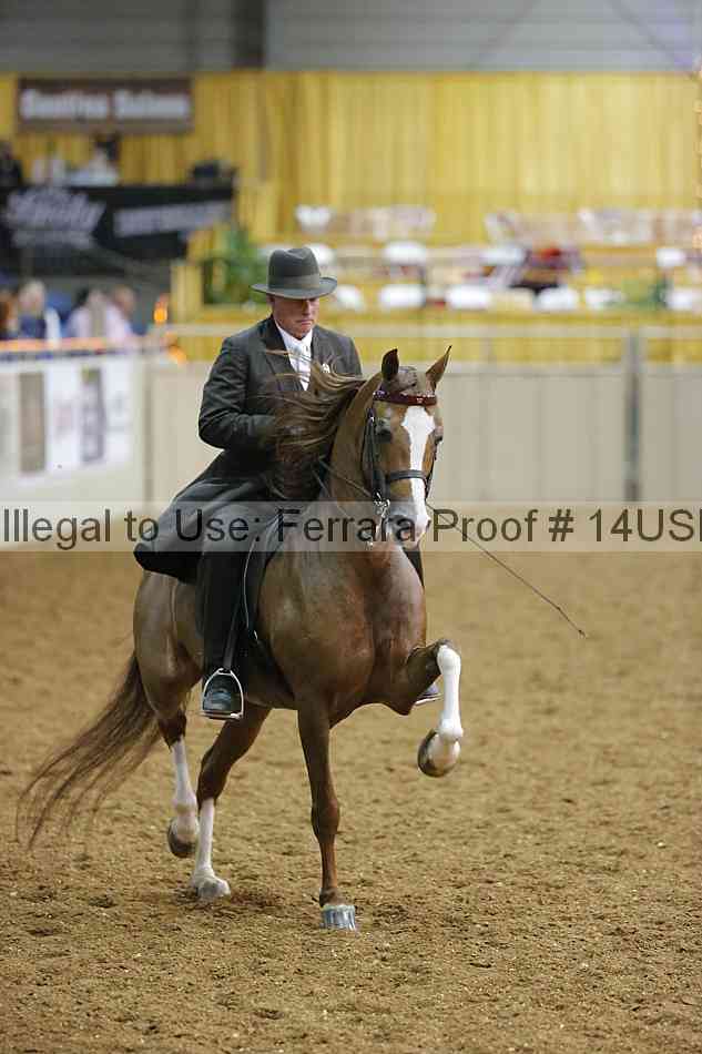 Proof 14usn_29602