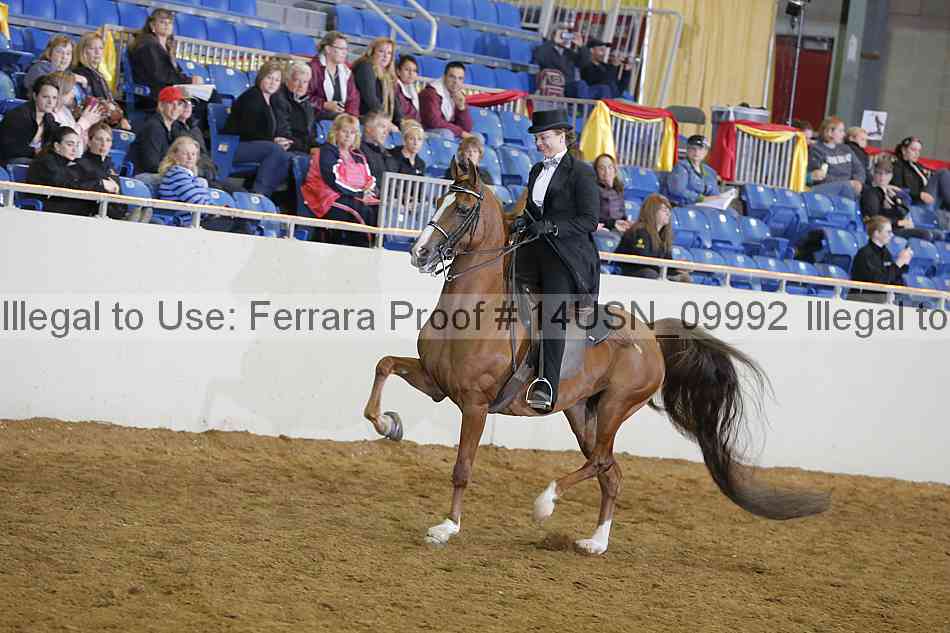 Proof 14usn_09992