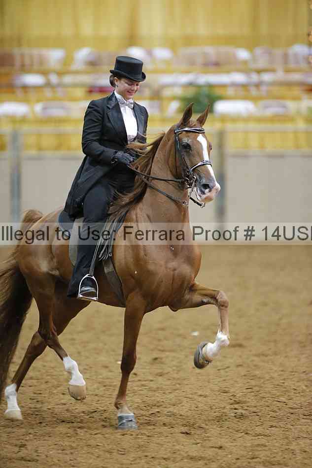 Proof 14usn_09995