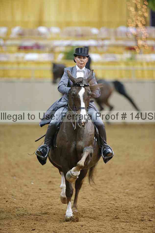 Proof 14usn_10073