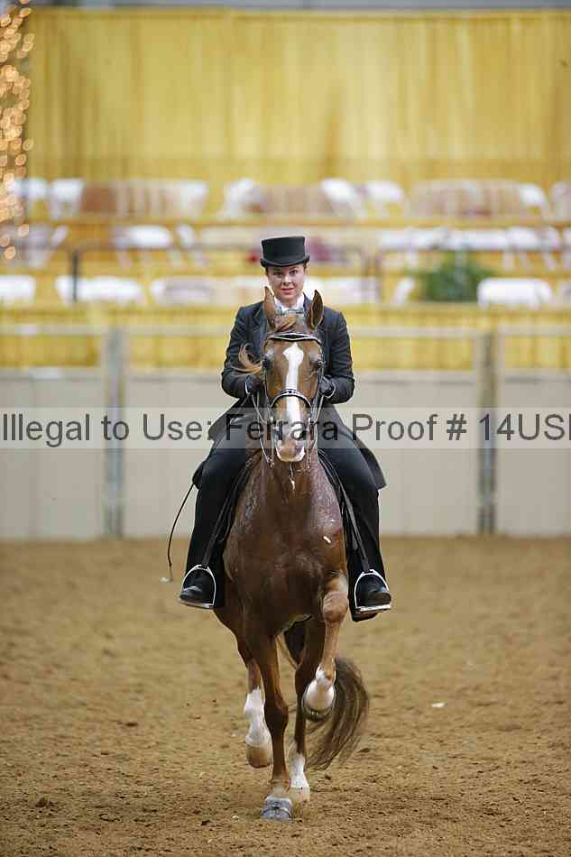 Proof 14usn_10079