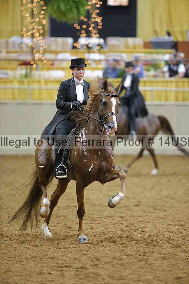 Proof 14usn_10081