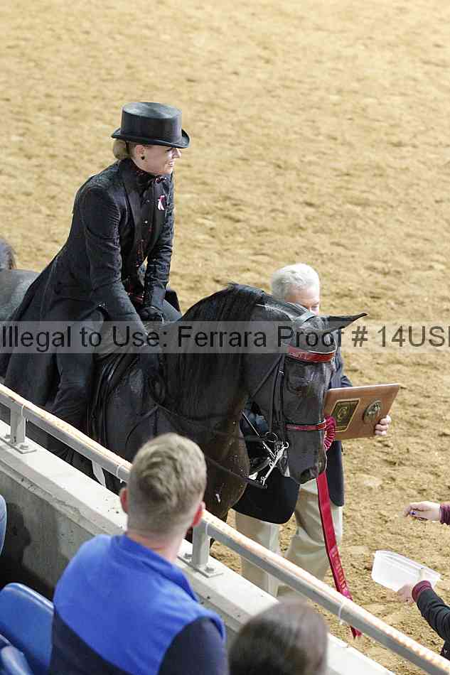Proof 14usn_10089