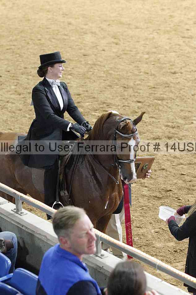 Proof 14usn_10097
