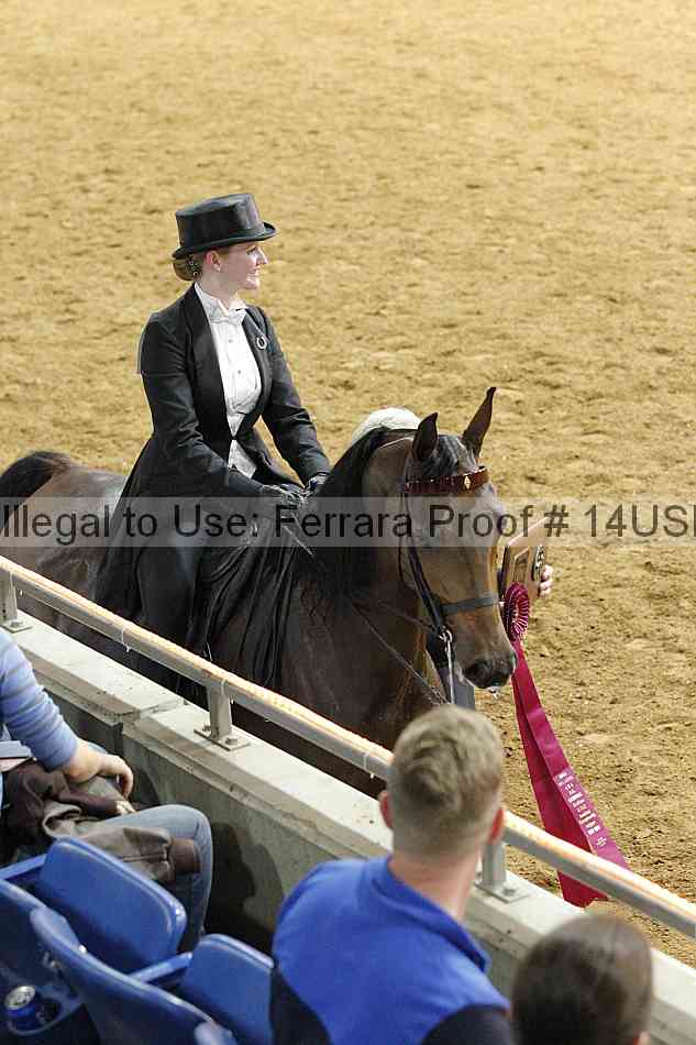 Proof 14usn_10100