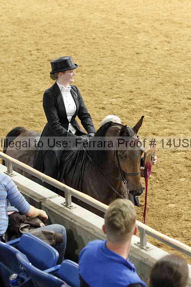 Proof 14usn_10101