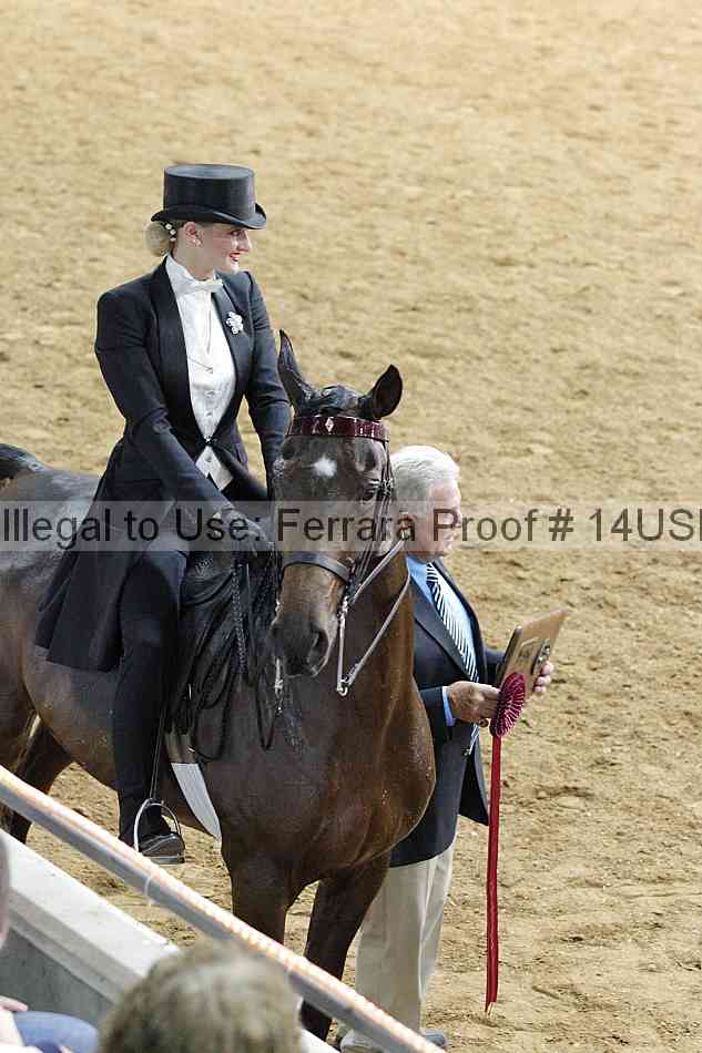 Proof 14usn_10104