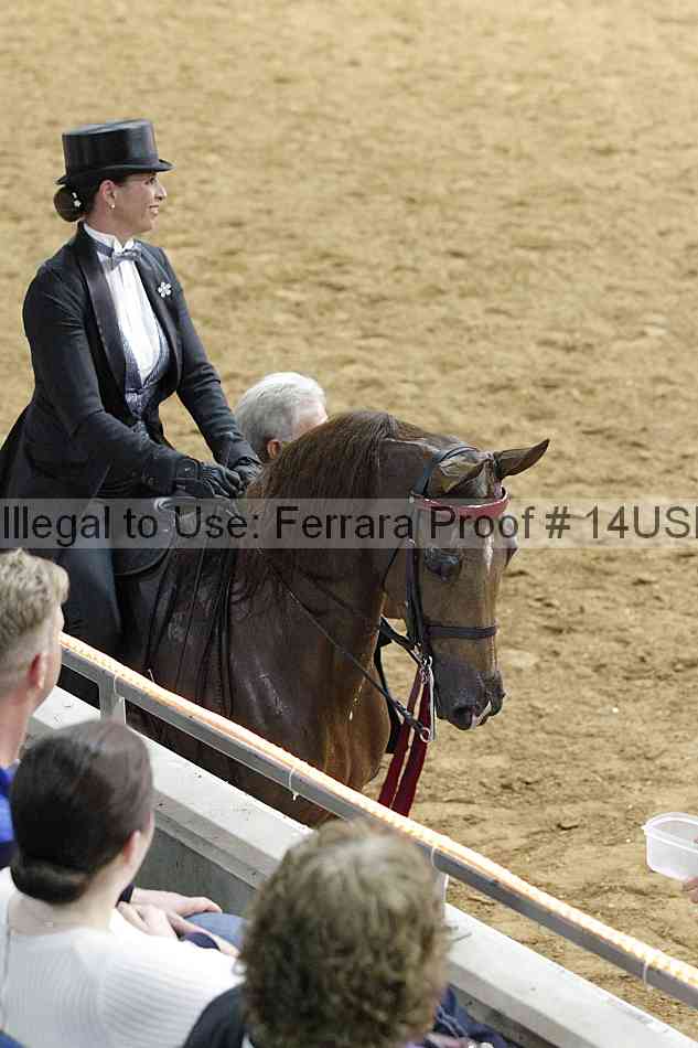 Proof 14usn_10108