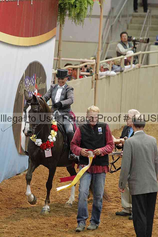Proof 14usn_10125