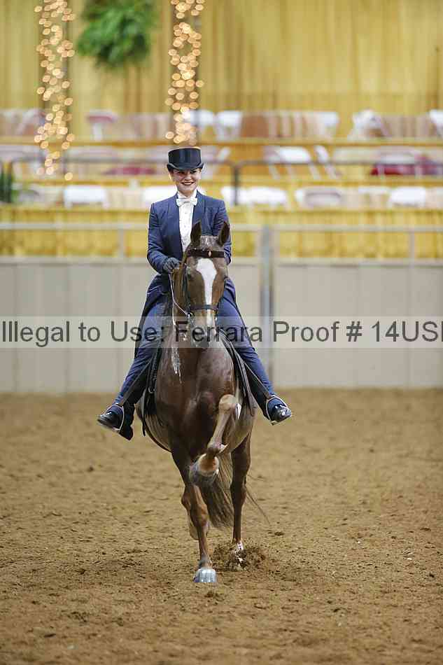 Proof 14usn_10131