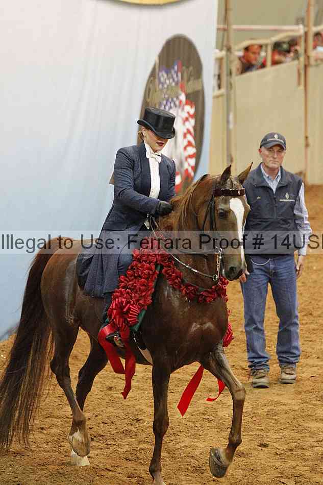 Proof 14usn_10140