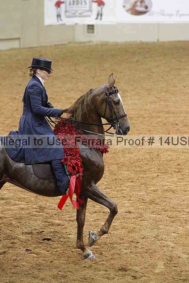 Proof 14usn_10144
