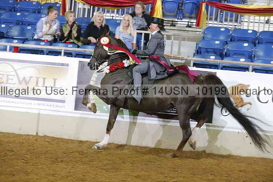 Proof 14usn_10199