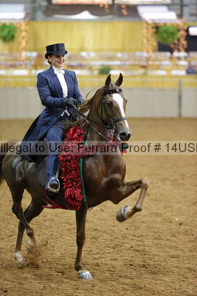 Proof 14usn_10205