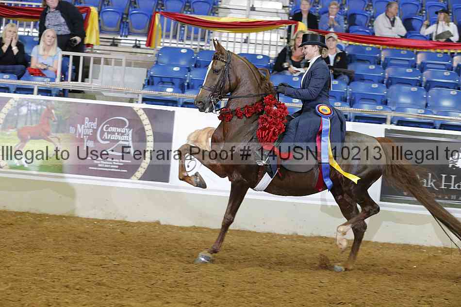 Proof 14usn_10213