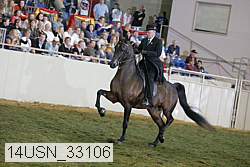 14usn_33106 proof