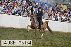 14usn_33134 proof