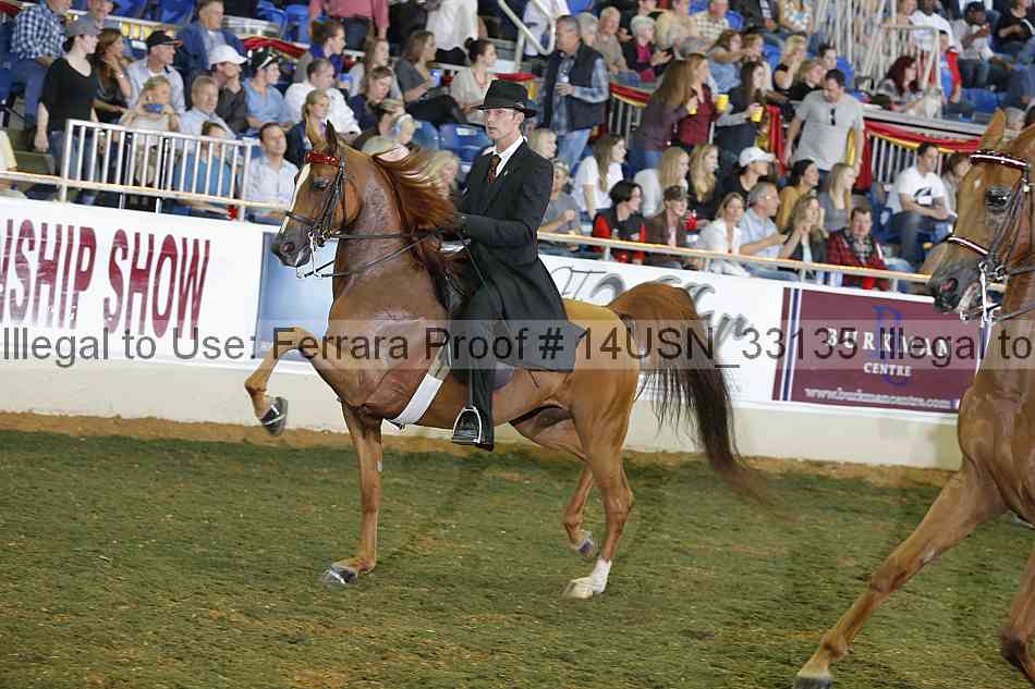 Proof 14usn_33135