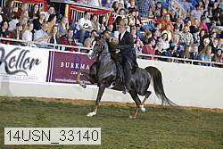14usn_33140 proof