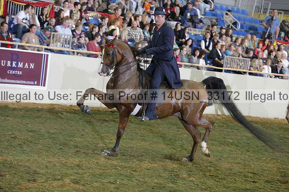 Proof 14usn_33172