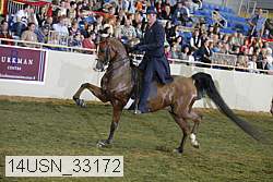 14usn_33172 proof