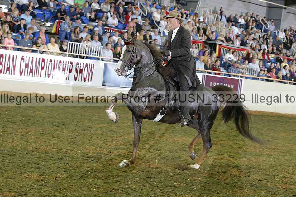 Proof 14usn_33229