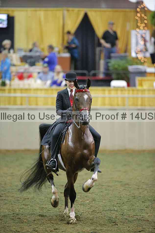 Proof 14usn_33244