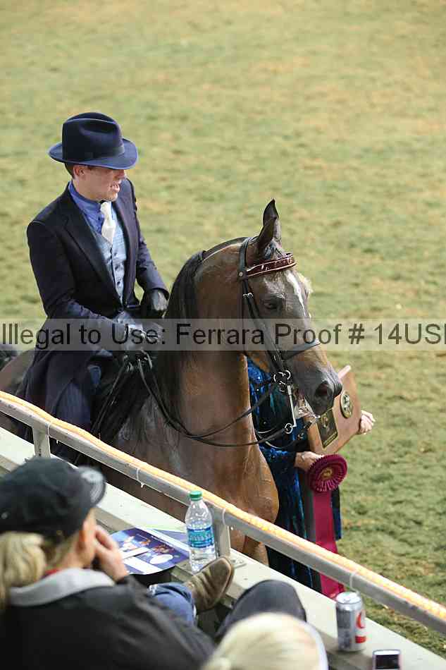 Proof 14usn_33248