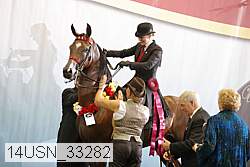 14usn_33282 proof