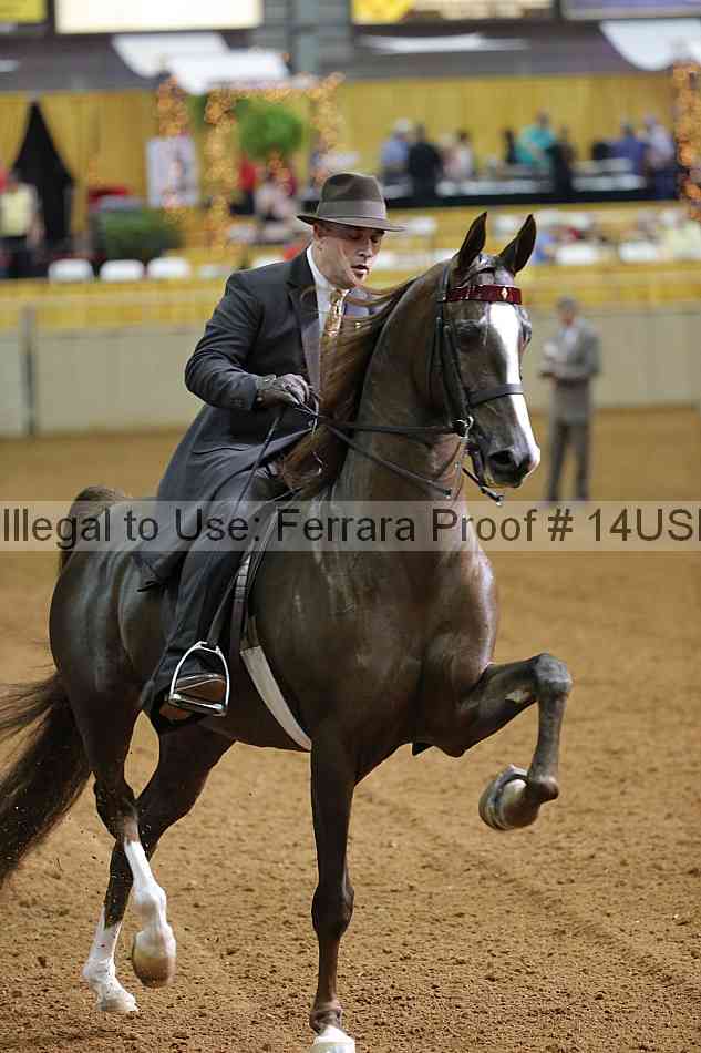 Proof 14usn_16328