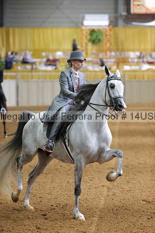Proof 14usn_16335