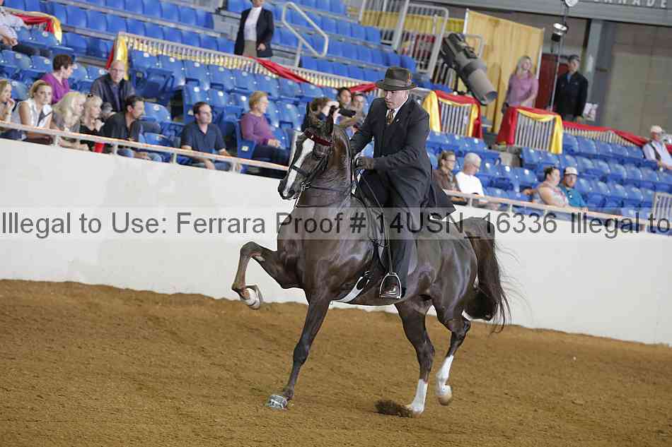 Proof 14usn_16336