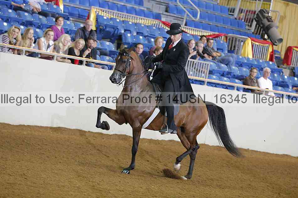 Proof 14usn_16345