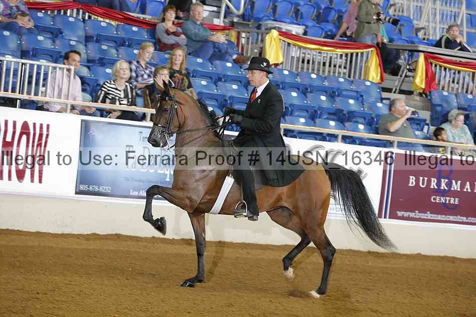 Proof 14usn_16346