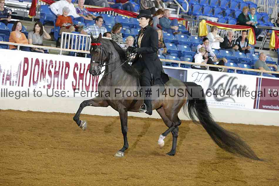 Proof 14usn_16404
