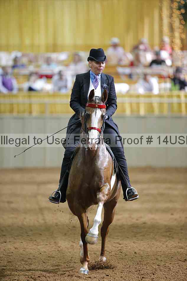 Proof 14usn_16405