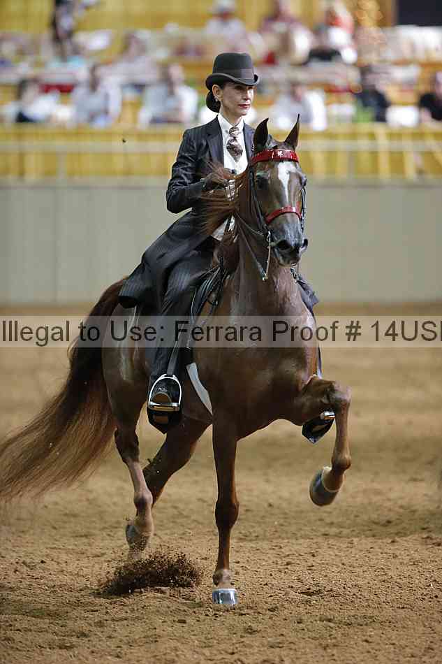 Proof 14usn_16408