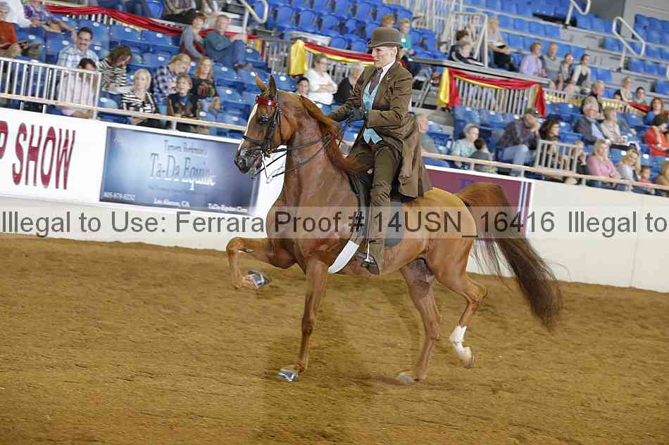 Proof 14usn_16416