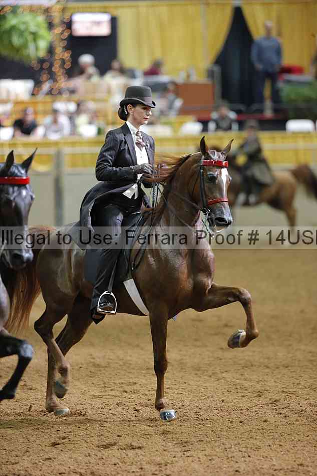 Proof 14usn_16418