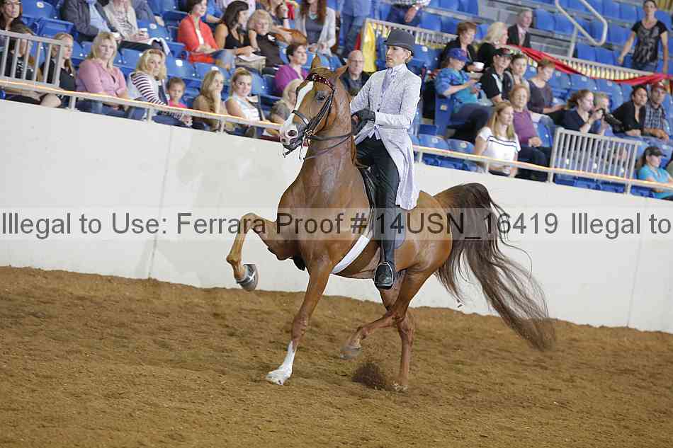 Proof 14usn_16419